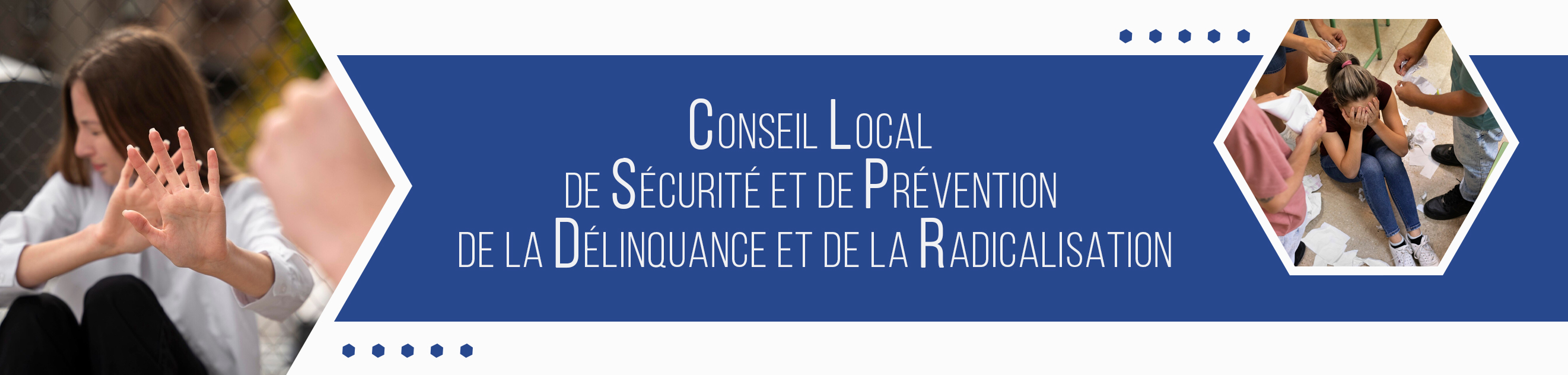 Conseil Local  de Sécurité et de Prévention  de la Délinquance et de la Radicalisation